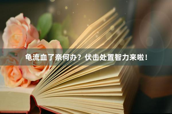 龟流血了奈何办？伏击处置智力来啦！