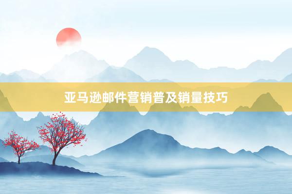 亚马逊邮件营销普及销量技巧